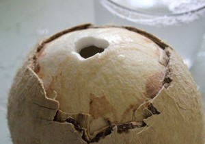 cách làm bánh flan rau câu dừa