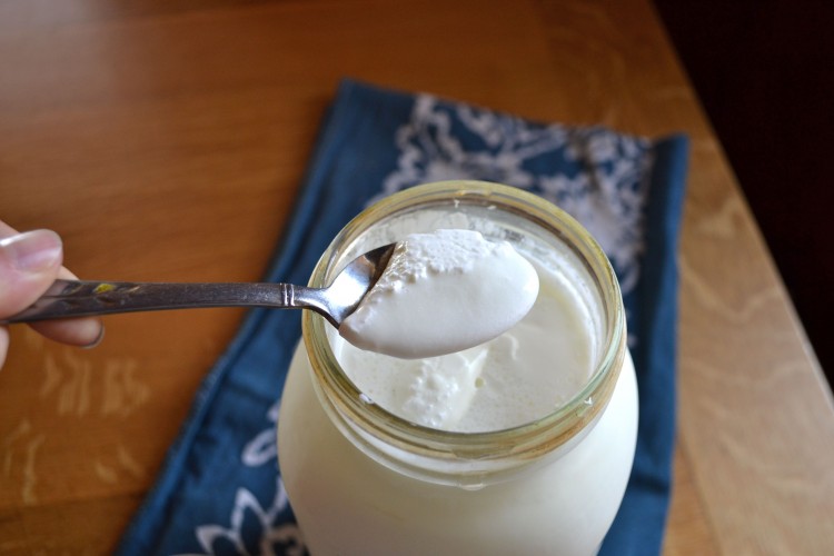 Mách bạn cách làm sữa chua từ sữa tươi đơn giản ngay tại nhà