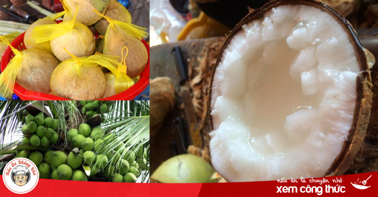 Dừa sáp Trà Vinh dẻo thơm ngon nức tiếng nhất định phải ăn một miếng