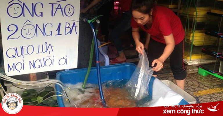 Nhà giàu Sài Gòn ‘chịu chơi’ mua cá chép Koi tiễn ông Táo